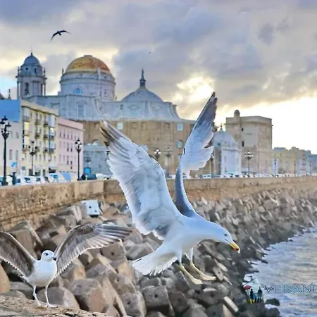 Andujar Appartamento *